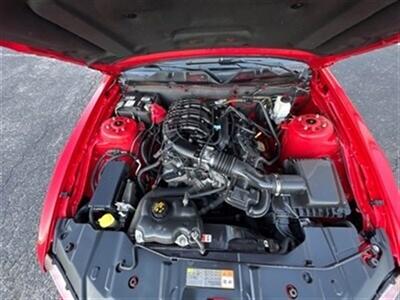 2014 Ford Mustang V6 Premium   - Photo 10 - Bridgeton, NJ 08302