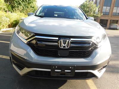 2022 Honda CR-V EX-L   - Photo 7 - Northfield, IL 60093