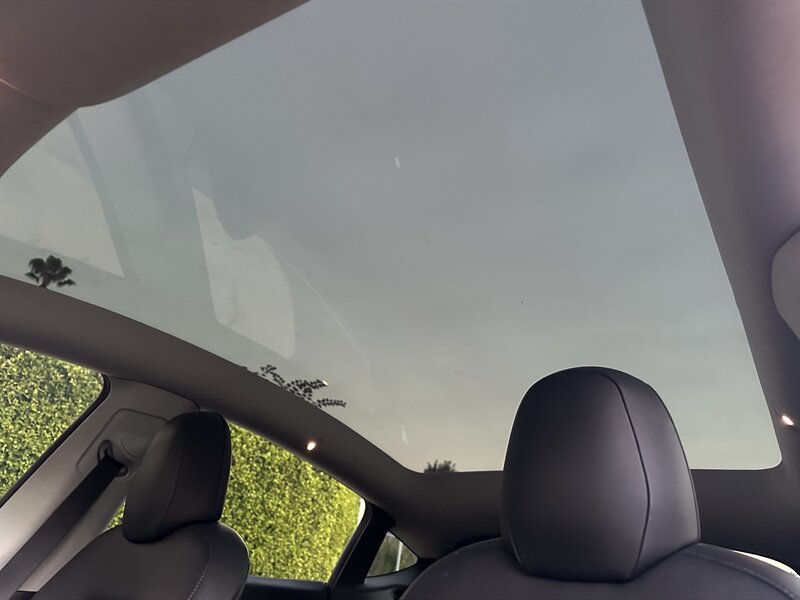 2020 Tesla Model Y Performance photo 14