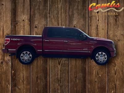 2013 Ford F-150 Platinum   - Photo 5 - Nampa, ID 83651