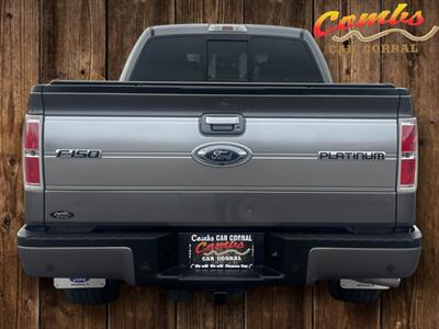 2013 Ford F-150 Platinum - Photo 4 - Nampa, ID 83651