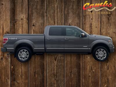 2013 Ford F-150 Platinum - Photo 5 - Nampa, ID 83651