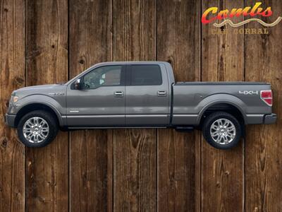 2013 Ford F-150 Platinum - Photo 3 - Nampa, ID 83651
