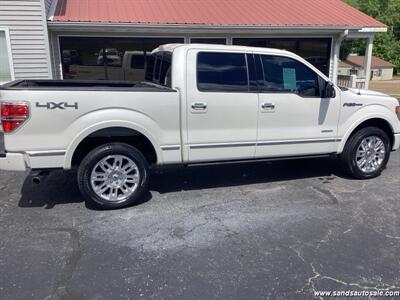 2014 Ford F-150 Platinum   - Photo 16 - Lexington, TN 38351