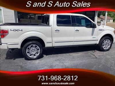 2014 Ford F-150 Platinum   - Photo 16 - Lexington, TN 38351