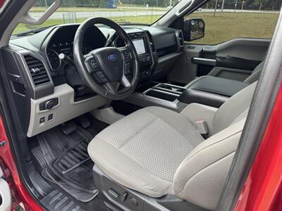 2019 Ford F-150 XLT   - Photo 7 - Loganville, GA 30052