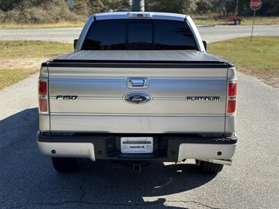 2013 Ford F-150 Platinum - Photo 5 - Loganville, GA 30052