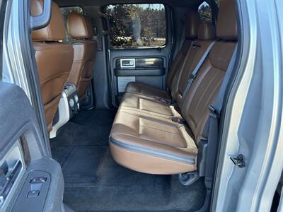 2013 Ford F-150 Platinum - Photo 18 - Loganville, GA 30052