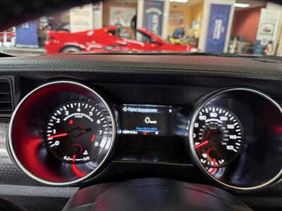 2021 Ford Mustang GT 2DR COUPE/6-SPEED   - Photo 12 - Hamilton, OH 45015