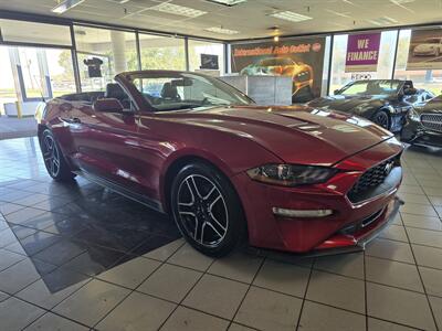 2019 Ford Mustang EcoBoost 2DR CONVERTIBLE - Photo 5 - Hamilton, OH 45015