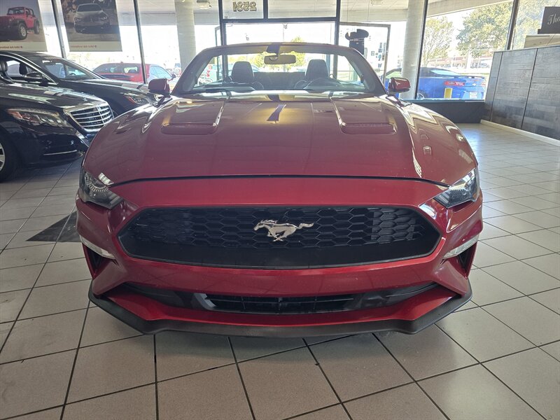 2019 Ford Mustang EcoBoost 2DR CONVERTIBLE - Photo 2 - Hamilton, OH 45015