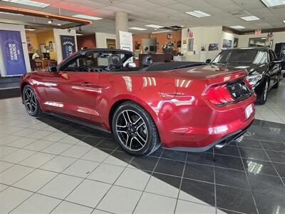 2019 Ford Mustang EcoBoost 2DR CONVERTIBLE - Photo 7 - Hamilton, OH 45015