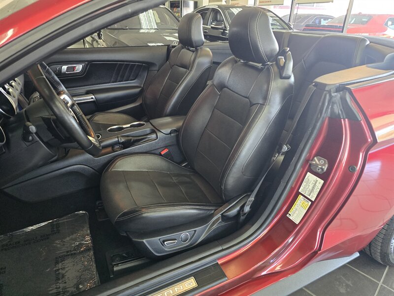 2019 Ford Mustang EcoBoost 2DR CONVERTIBLE - Photo 11 - Hamilton, OH 45015