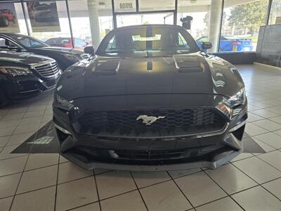 2019 Ford Mustang EcoBoost 2DR CONVERTIBLE - Photo 2 - Hamilton, OH 45015