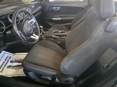 2019 Ford Mustang EcoBoost 2DR CONVERTIBLE - Photo 10 - Hamilton, OH 45015