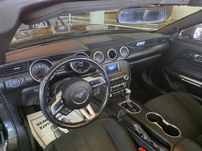 2019 Ford Mustang EcoBoost 2DR CONVERTIBLE - Photo 9 - Hamilton, OH 45015
