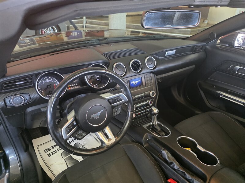 2019 Ford Mustang EcoBoost 2DR CONVERTIBLE - Photo 9 - Hamilton, OH 45015