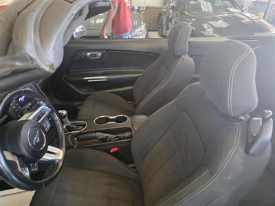 2019 Ford Mustang EcoBoost 2DR CONVERTIBLE - Photo 16 - Hamilton, OH 45015