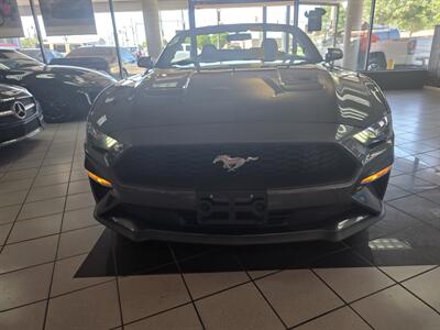 2019 Ford Mustang EcoBoost 2DR CONVERTIBLE - Photo 4 - Hamilton, OH 45015