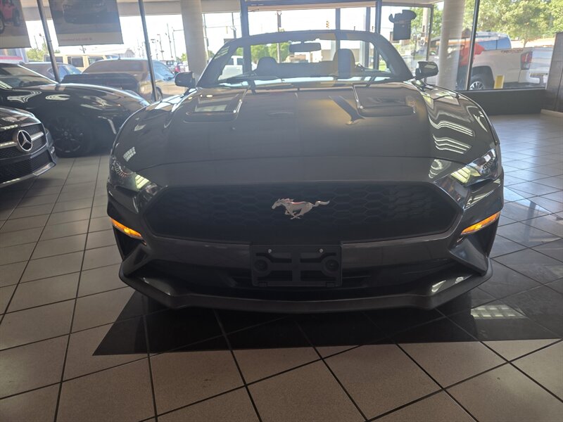 2019 Ford Mustang EcoBoost 2DR CONVERTIBLE - Photo 4 - Hamilton, OH 45015