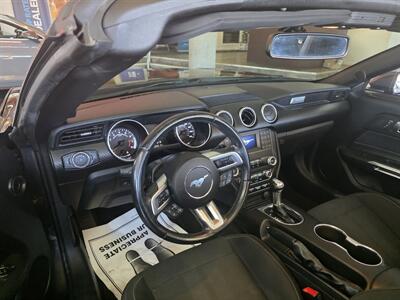 2019 Ford Mustang EcoBoost 2DR CONVERTIBLE - Photo 8 - Hamilton, OH 45015
