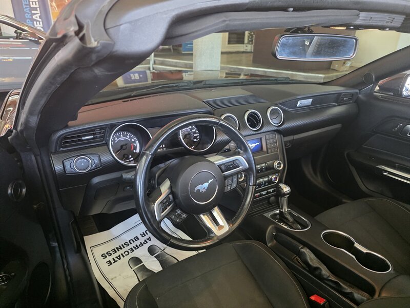 2019 Ford Mustang EcoBoost 2DR CONVERTIBLE - Photo 8 - Hamilton, OH 45015