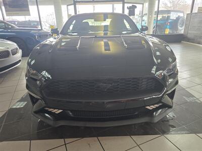 2019 Ford Mustang EcoBoost  2DR COUPE   - Photo 2 - Hamilton, OH 45015