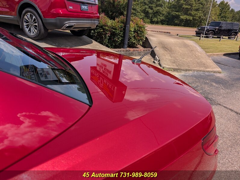 Photo 41