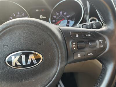 2017 Kia Sedona EX - Photo 18 - Madison, OH 44057