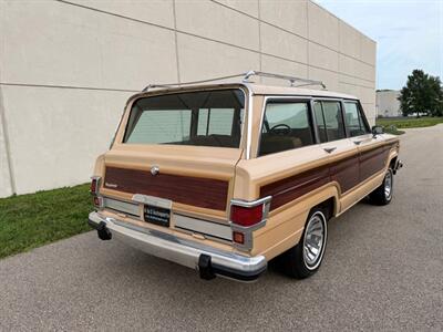 1981 Jeep Wagoneer Limited - Photo 14 - Madison, WI 53716