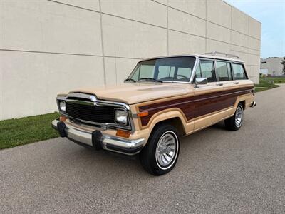 1981 Jeep Wagoneer Limited - Photo 10 - Madison, WI 53716