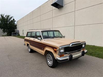 1981 Jeep Wagoneer Limited - Photo 17 - Madison, WI 53716