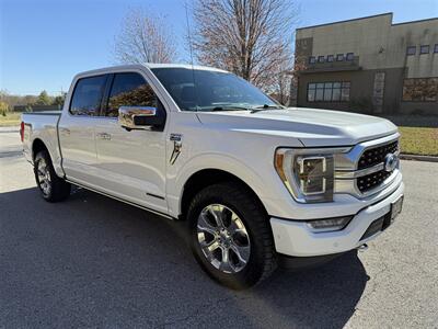 2021 Ford F-150 Platinum - Photo 4 - Bucyrus, KS 66013