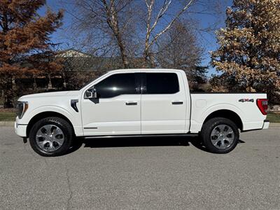 2021 Ford F-150 Platinum - Photo 2 - Bucyrus, KS 66013