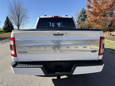2021 Ford F-150 Platinum - Photo 7 - Bucyrus, KS 66013