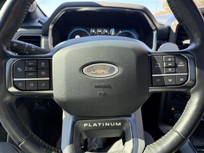 2021 Ford F-150 Platinum - Photo 20 - Bucyrus, KS 66013