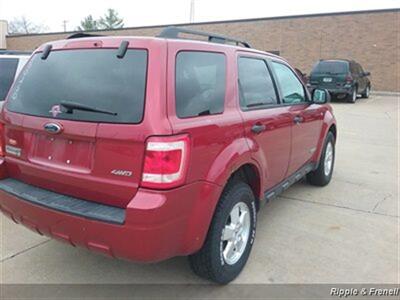 2008 Ford Escape XLT   - Photo 6 - Davenport, IA 52802