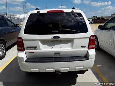 2012 Ford Escape XLT   - Photo 9 - Silvis, IL 61282