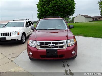 2008 Ford Escape XLT   - Photo 1 - Davenport, IA 52802