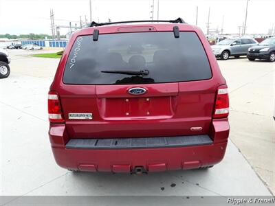 2008 Ford Escape XLT   - Photo 10 - Davenport, IA 52802