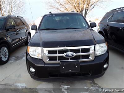 2010 Ford Escape XLT   - Photo 1 - Davenport, IA 52802