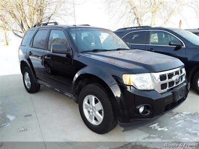 2010 Ford Escape XLT   - Photo 12 - Davenport, IA 52802