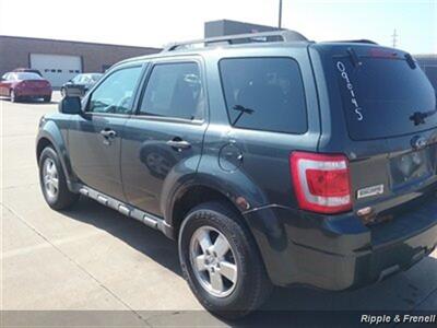 2009 Ford Escape XLT   - Photo 7 - Davenport, IA 52802