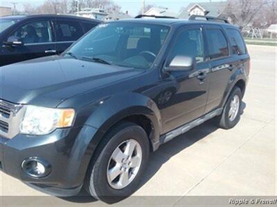 2009 Ford Escape XLT   - Photo 3 - Davenport, IA 52802