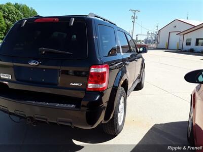 2008 Ford Escape XLT   - Photo 6 - Davenport, IA 52802