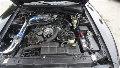 1998 Ford Mustang GT   - Photo 19 - Van Nuys, CA 91405