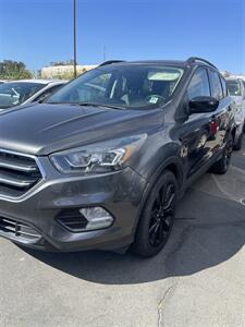 2019 Ford Escape SE SUV