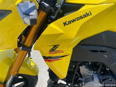 2022 KAWASAKI BR125 PRO   - Photo 6 - Visalia, CA 93292