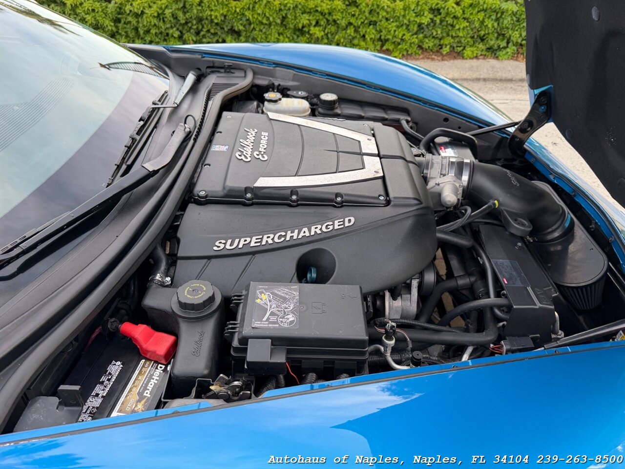 2008 Chevrolet Corvette   - Photo 6 - Naples, FL 34104