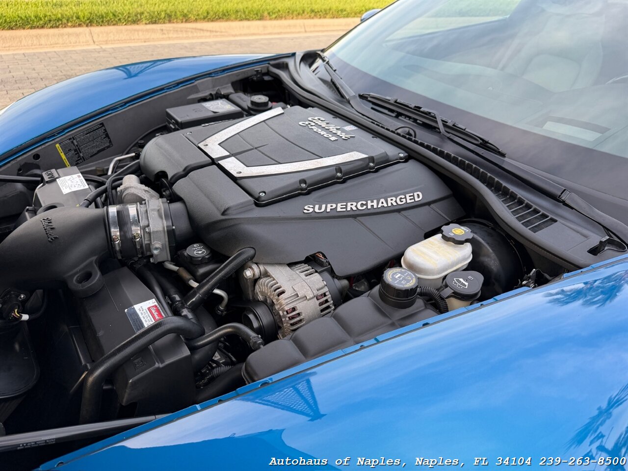 2008 Chevrolet Corvette   - Photo 5 - Naples, FL 34104